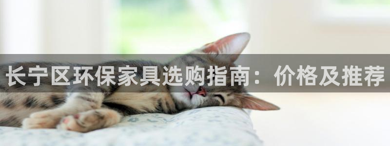 杏耀平台已注册入口：长宁区环保家具选购指南：价格及推荐