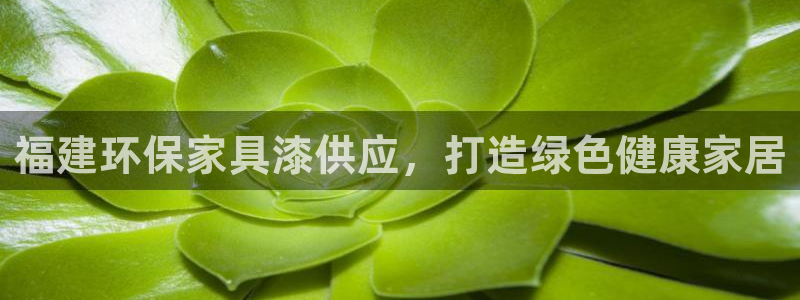 杏耀如何注册：福建环保家具漆供应，打造绿色健康家居
