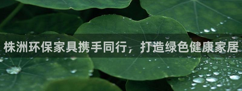 杏耀平台娱乐登陆：株洲环保家具携手同行，打造绿色健康家居