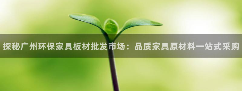 杏耀3注册：探秘广州环保家具板材批发市场：品质家具原材料一站