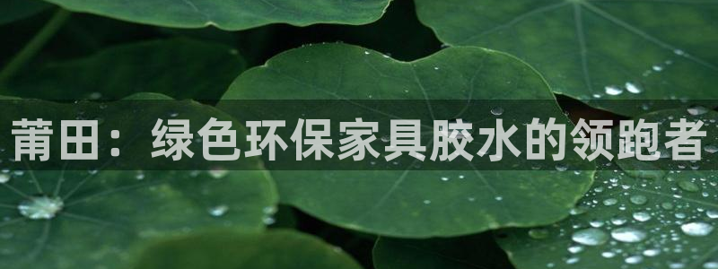 杏耀官网游戏