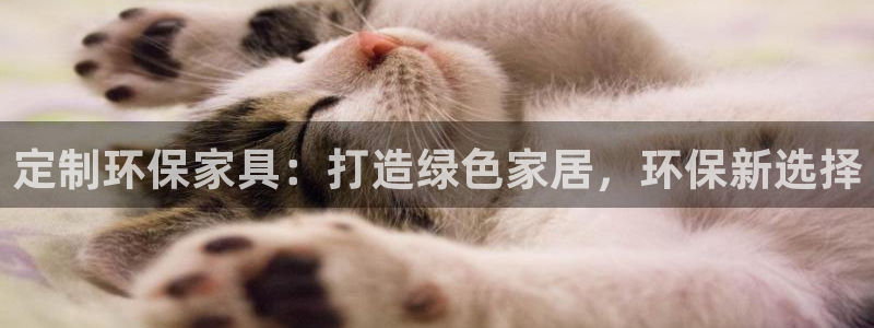 杏耀平台手机：定制环保家具：打造绿色家居，环保新选择
