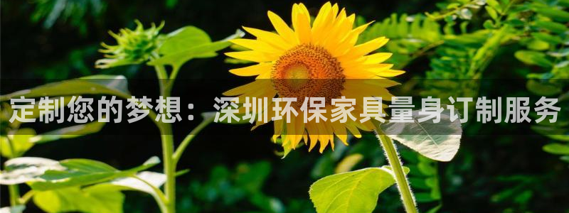 杏耀注册中心：定制您的梦想：深圳环保家具量身订制服务