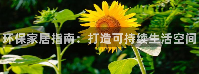 杏耀平台登录方式：环保家居指南：打造可持续生活空间