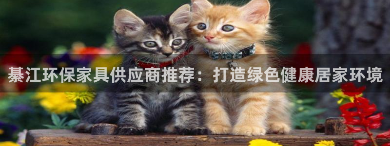 杏耀平台代理注册：綦江环保家具供应商推荐：打造绿色健康居家环