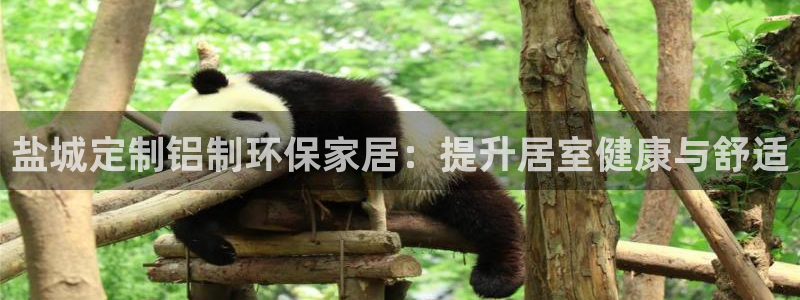 杏耀注册网址：盐城定制铝制环保家居：提升居室健康与舒适